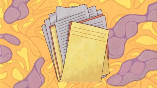 270 бухгалтеров получили аттестаты в УЦ «Что делать Квалификация»